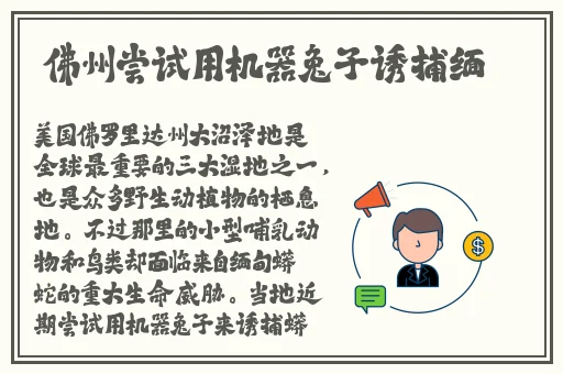 鲁大师电影